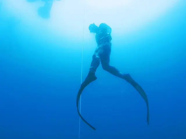 Фридайвинг — 1